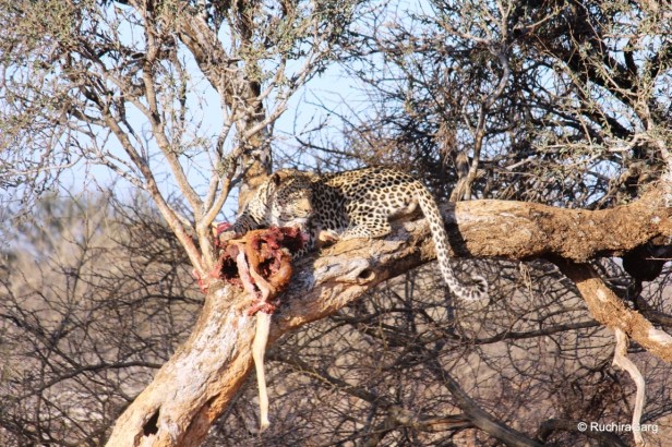 034-IMG_1038 (FILEminimizer)