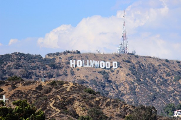 IMG_3357 (FILEminimizer)