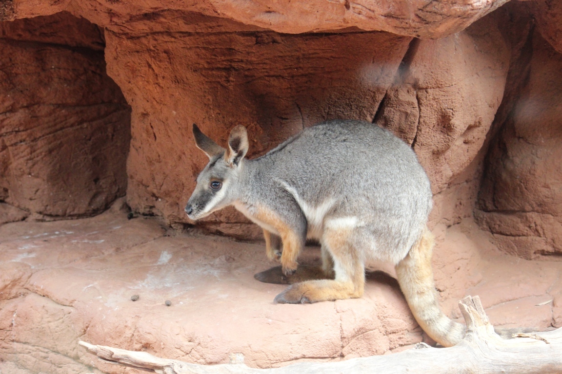 IMG_4846 (FILEminimizer)