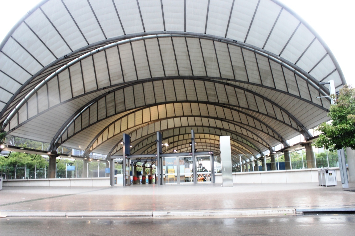 IMG_4879 (FILEminimizer)