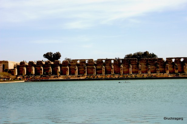 IMG_5537 (FILEminimizer).JPG