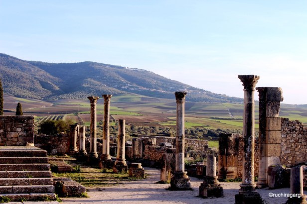 IMG_5628 (FILEminimizer).JPG