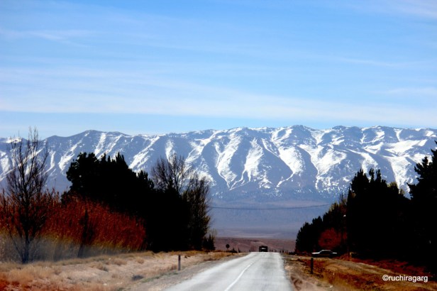 IMG_5875 (FILEminimizer).JPG