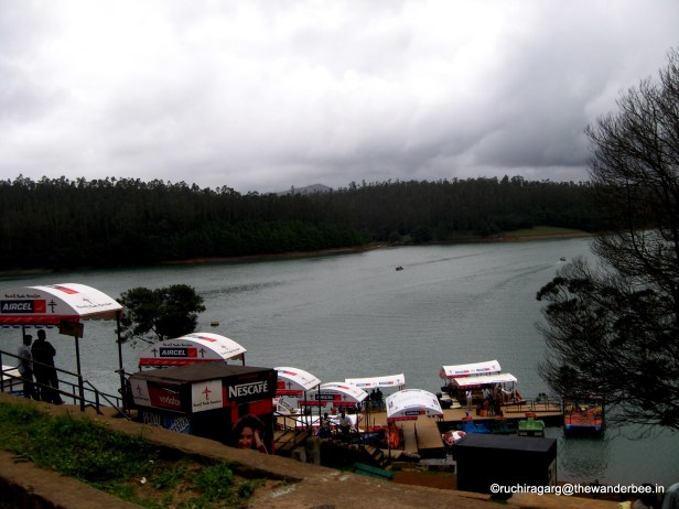 Ooty 063