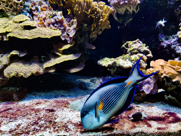 03-PSX_20190420_223939