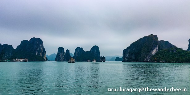 1577089304816_edited